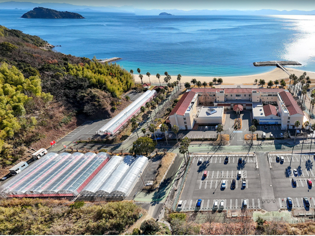 �_�}���b�T���]�[�g�@�T�U���Z�g���h�哇�אځ^