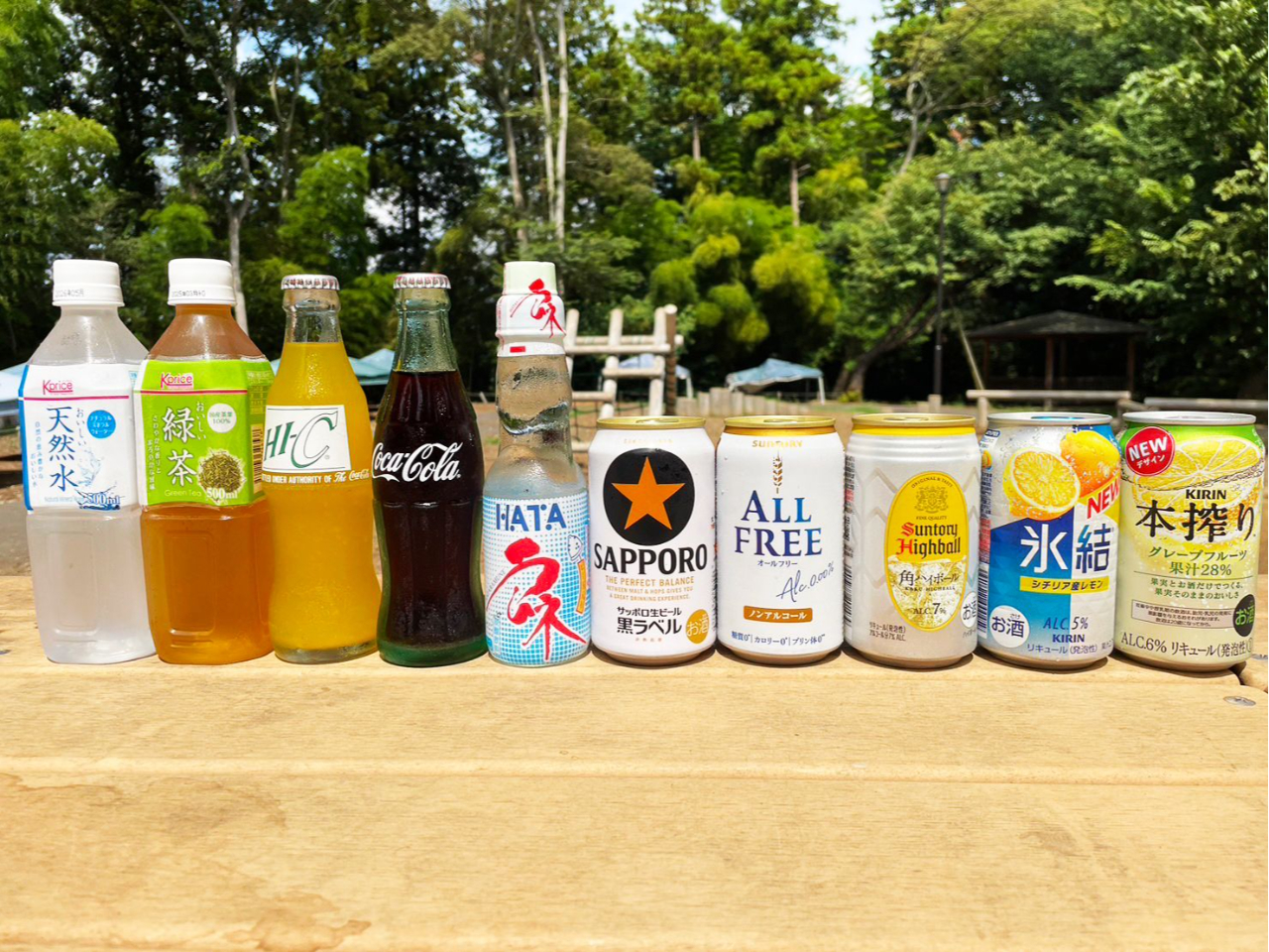 ł̃hN̔Bgł݂̎łI {ݓ́Ao[xL[TCgȊOł͈֎~ƂȂ܂̂łӂB