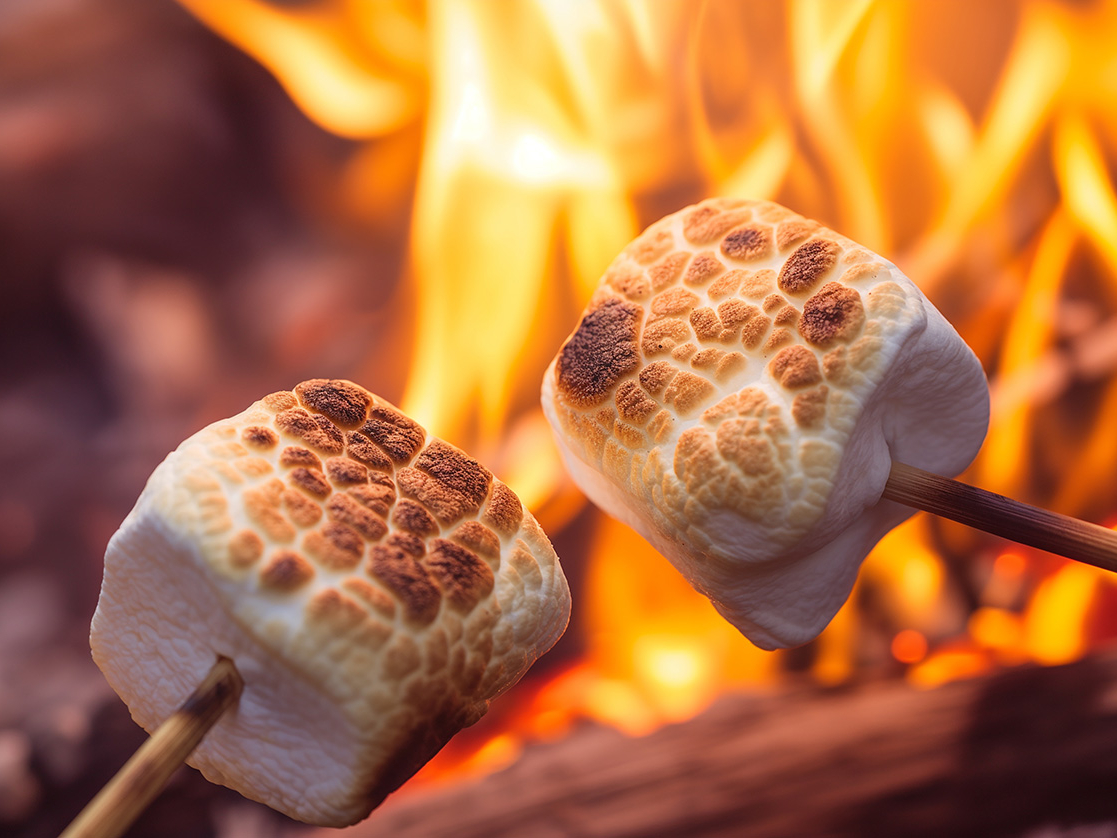 S҂łyɖ{iY΃o[xL[y߂܂