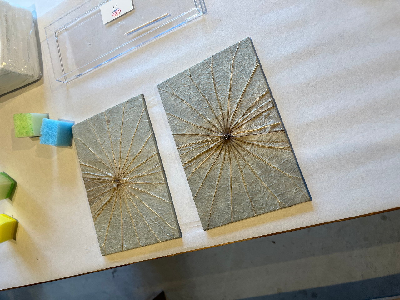 @̗tɃANG̋ŒFĂ܂Bvv̐F悹̂łAFAFɂ悤Ƒzc܂ȂiĂ܂