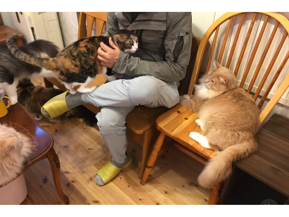 Wi-Fiと電源完備!1ドリンク付!【平日限定・30分800円】〈スキマ時間・電...