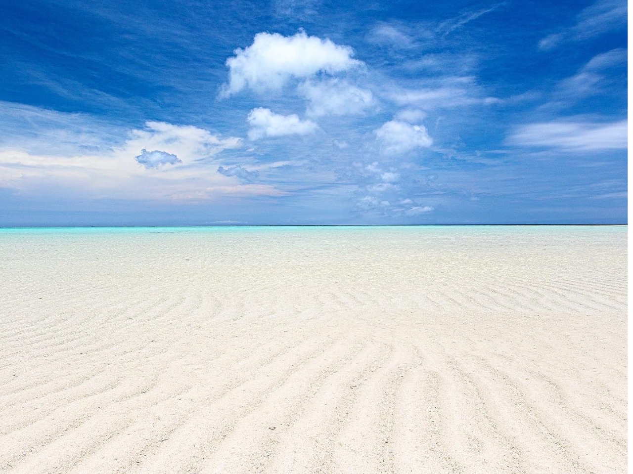 �N�����Ȃ��S�����l