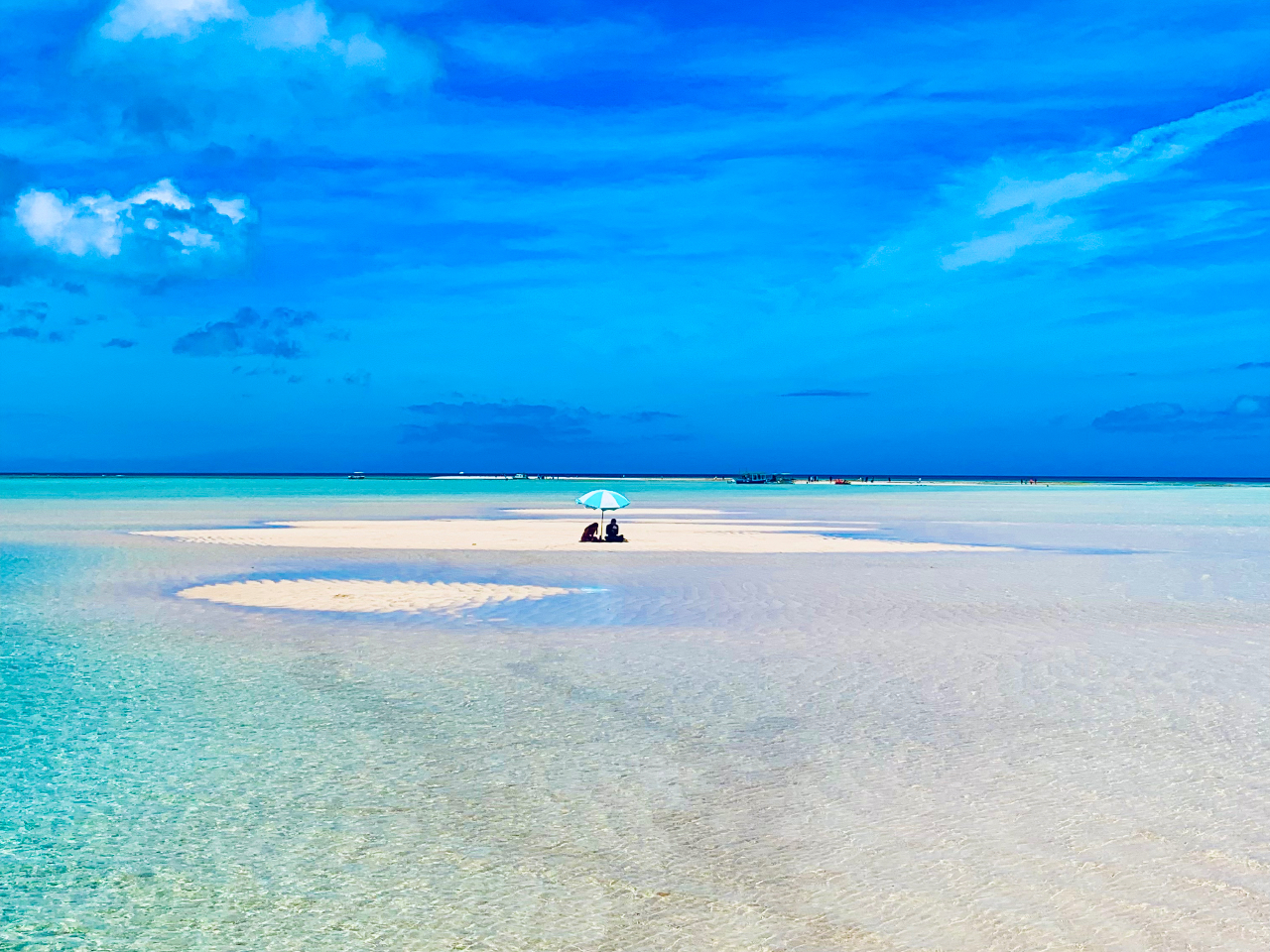 �Ɛ�̕S�����l