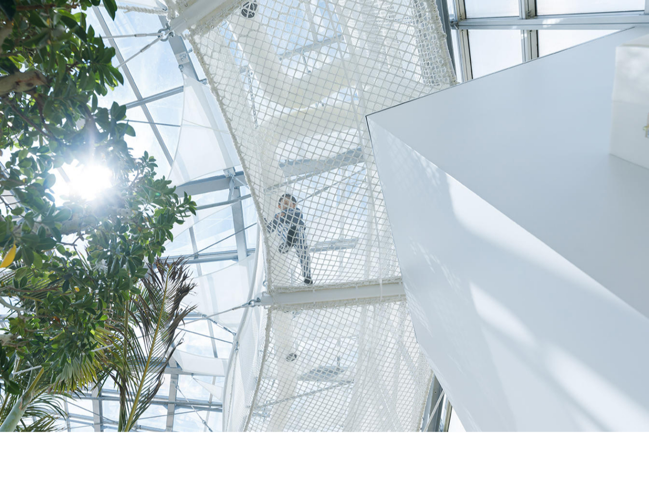 �������ɂ���l�b�g�V��