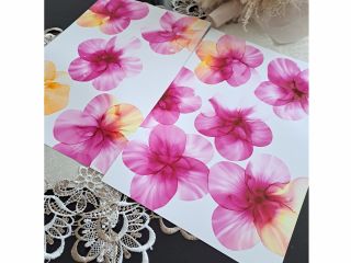 美しいお花のアート♪