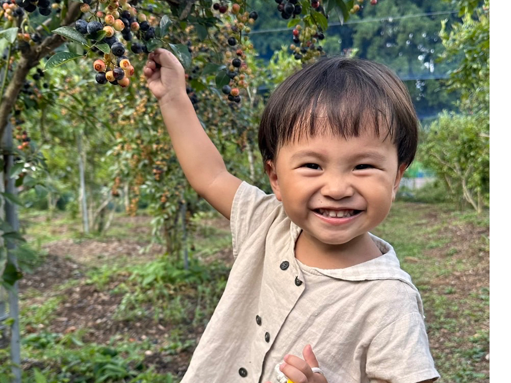 200{13ނ̃u[x[͔|Ă܂B