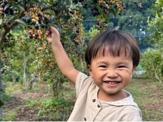 200本13種類のブルーベリーを栽培しています。