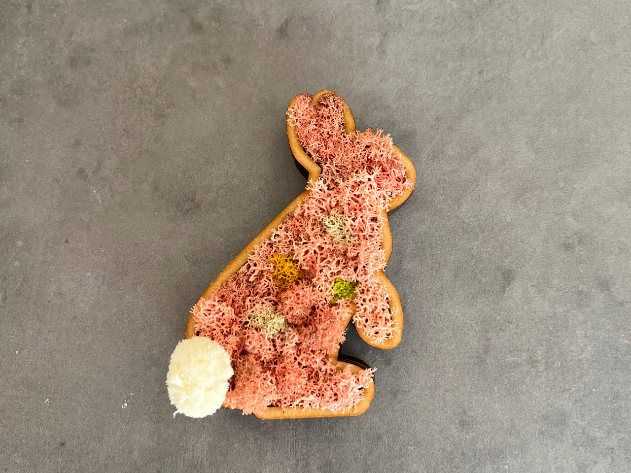 SX?X̃J[24FAF̃p^[񂠂܂  uK2,600~ō 