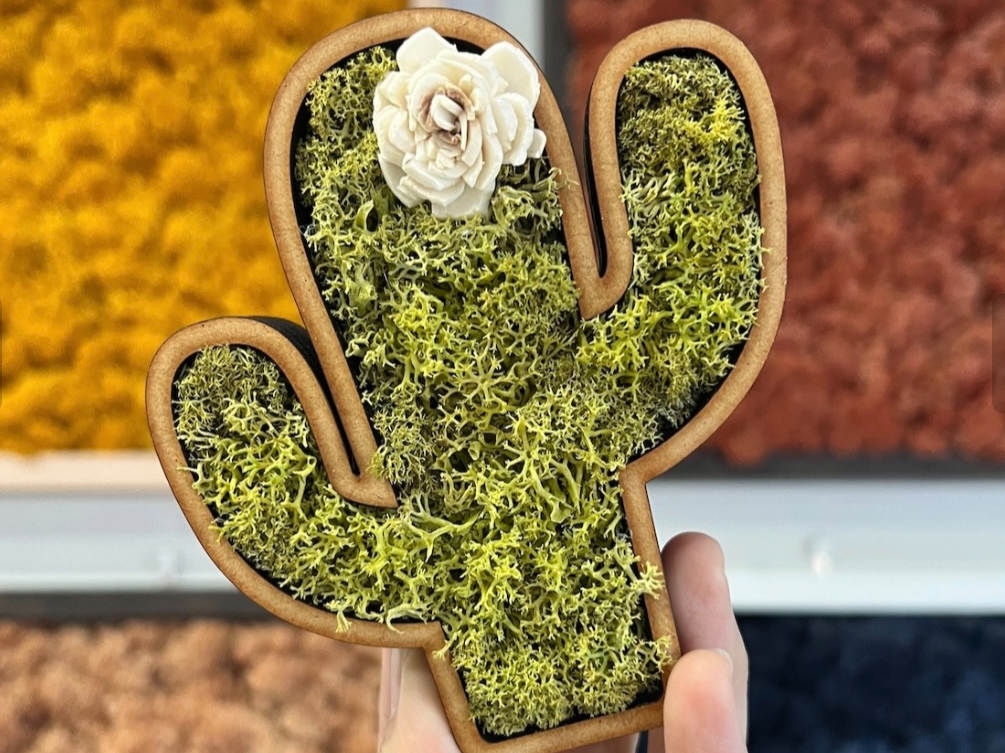 サボテンS ?お部屋のグリーンになりますよ♪簡単そうだけど、思い通りにならないのがモスです(^^;講習費2,600円税込