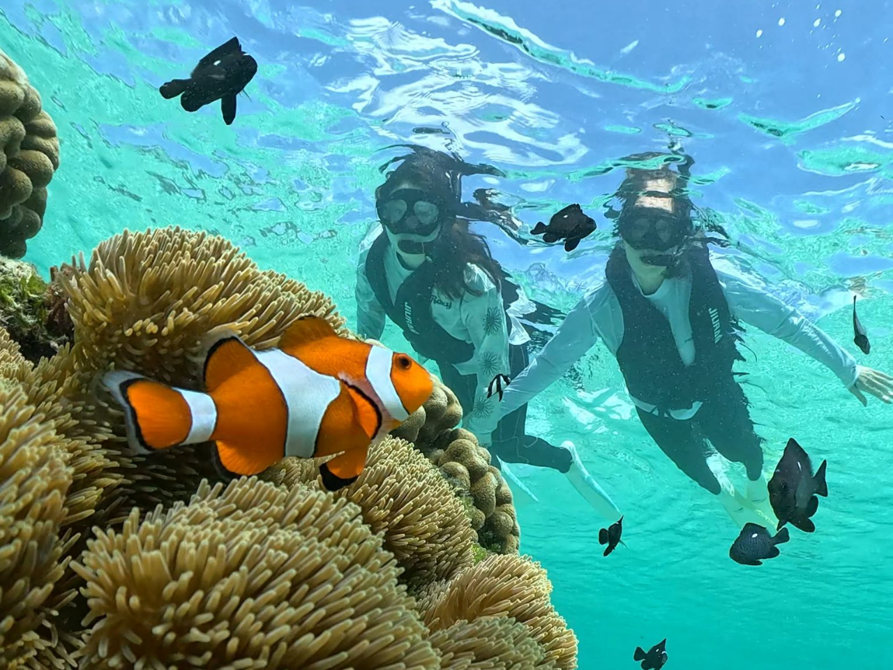 ���S�҂ł����S�I �K�C�h�����J�Ƀ��N�`���[���܂��̂ŏ��S�҂̕��ł����S���Ă��Q�����������܂��I