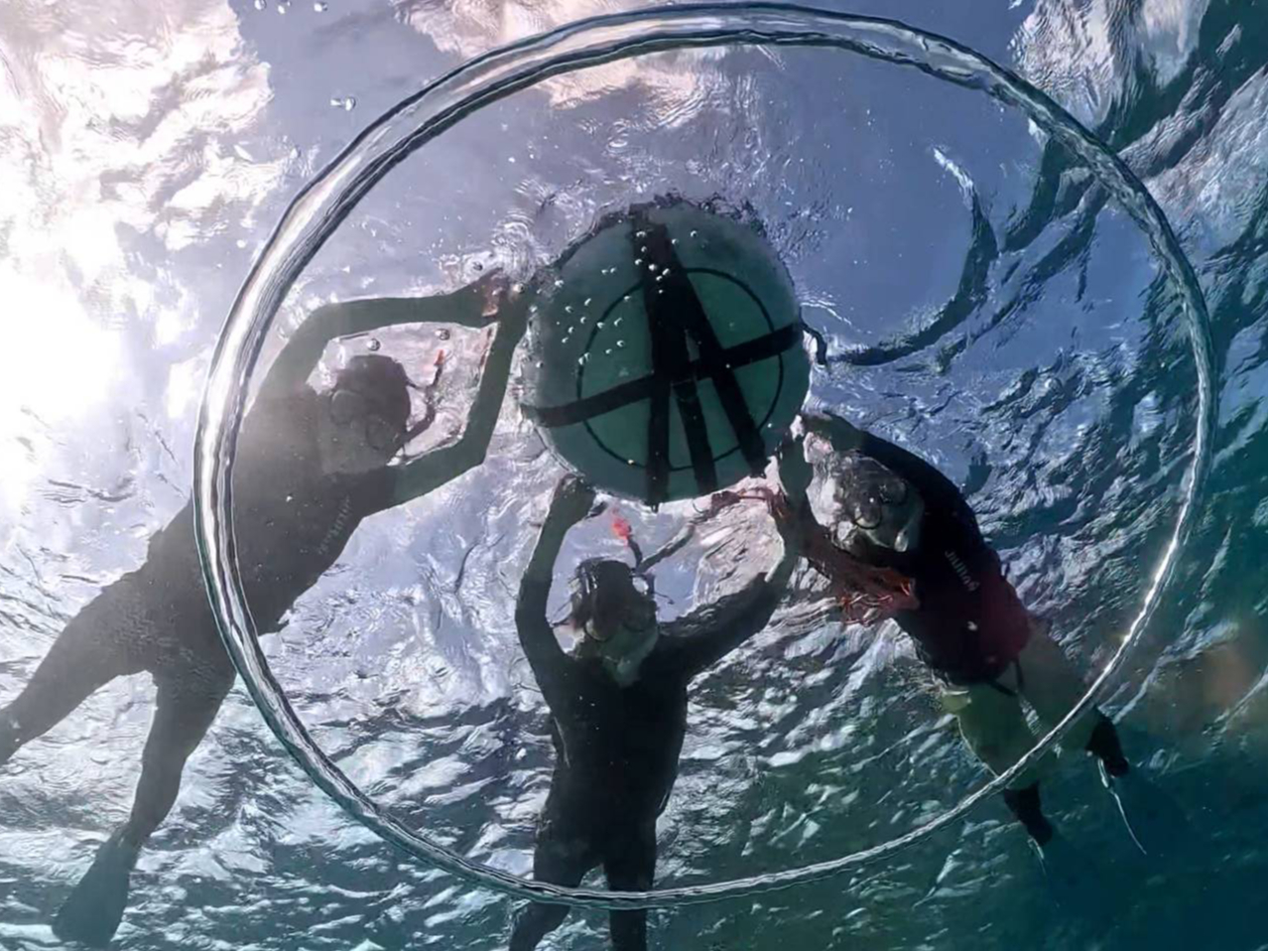 �K�v���i���������^���I �V���m�[�P�����O�ŕK�v�Ȕ��i�͑S�Ė��������^���I�~�G�̓E�F�b�g�X�[�c�������ő݂��o���Ă��܂��I