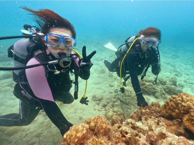 海の中は魚が目の前に!!