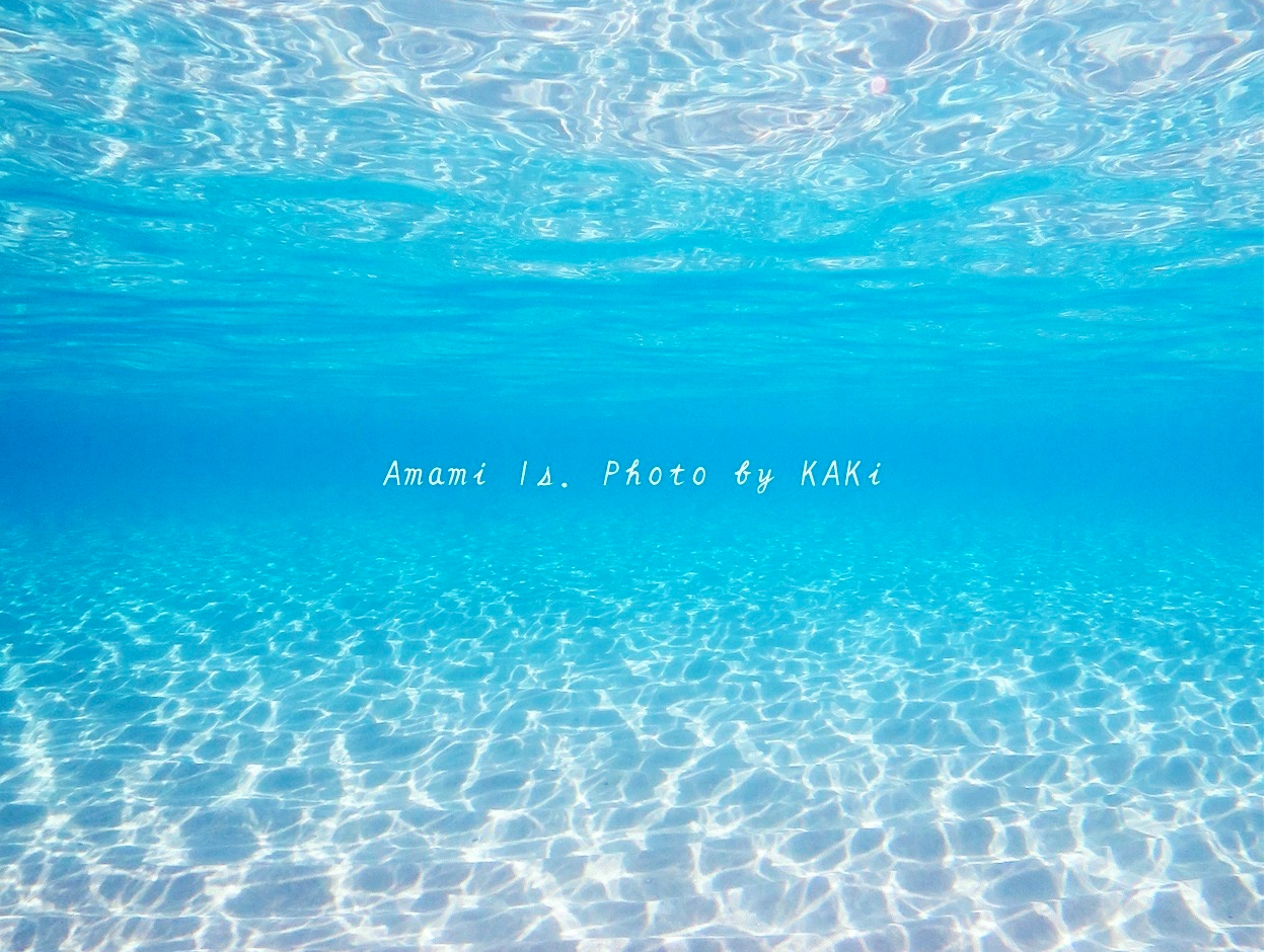 水中世界はまさに別世界!!