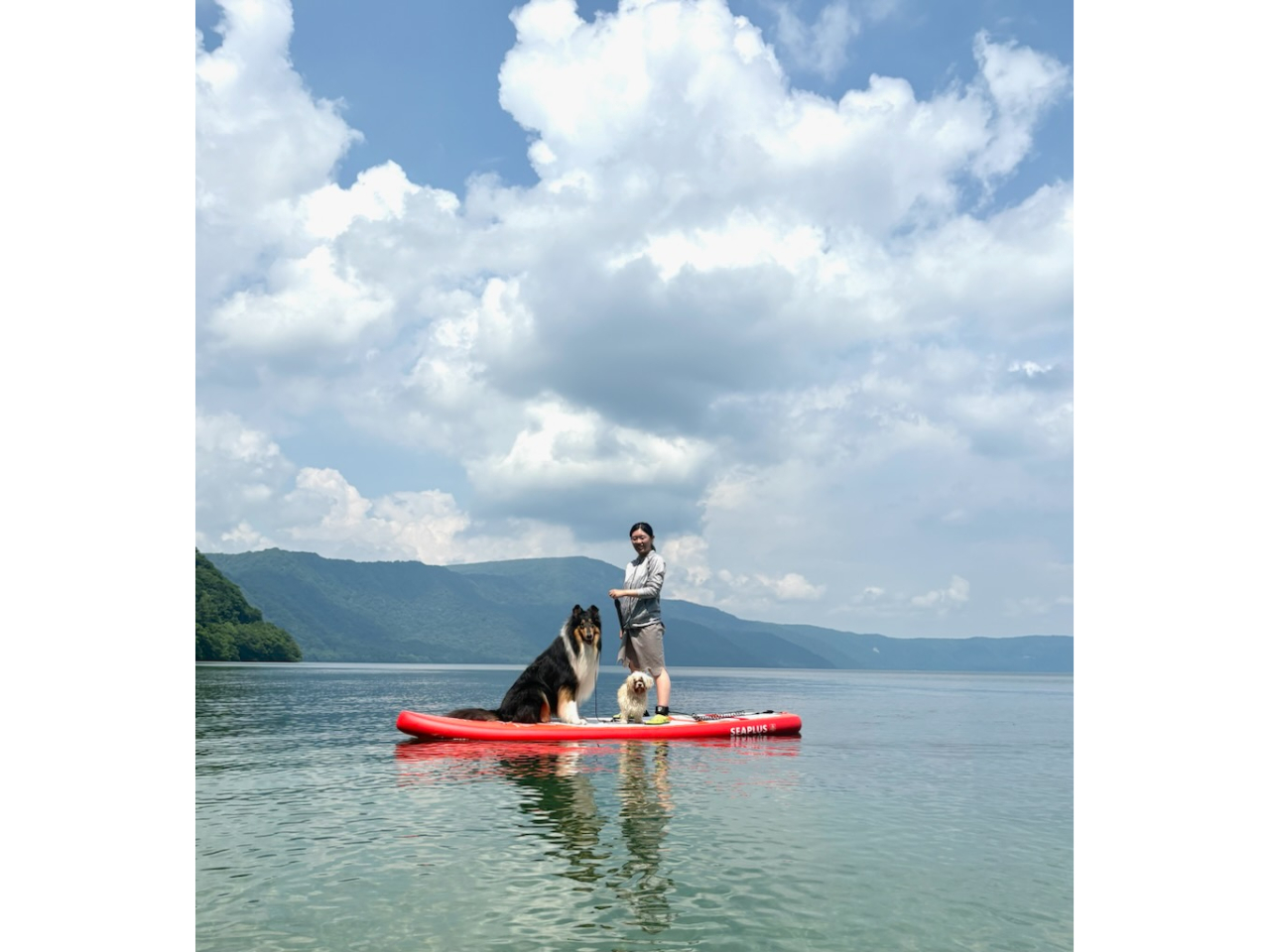 lG̕i𒭂߂ȂAƕSUPy߂ґ̌