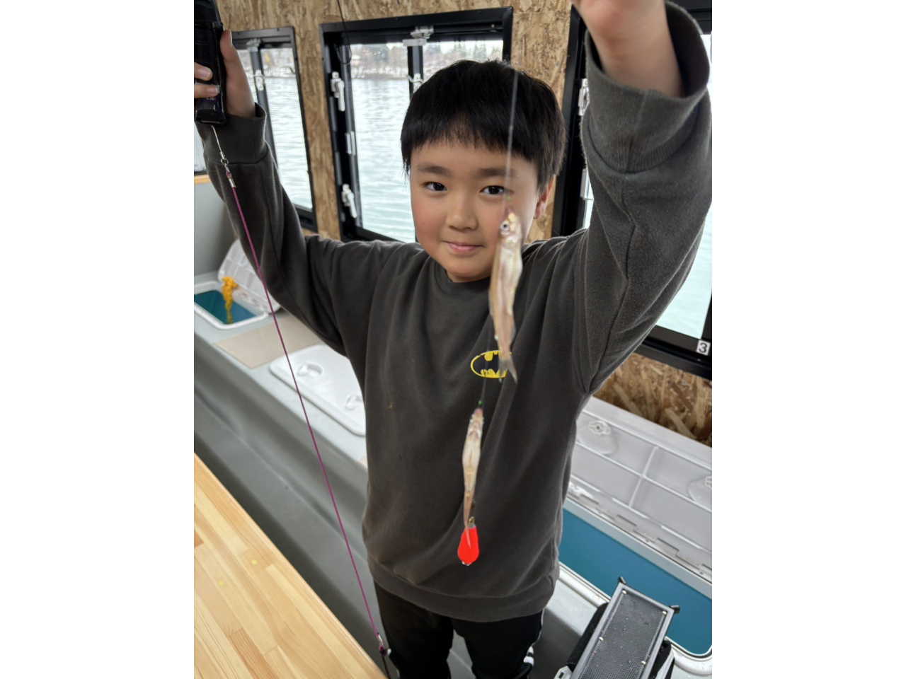 uqǂ̊h[DɋA~̃JTM̌Bv