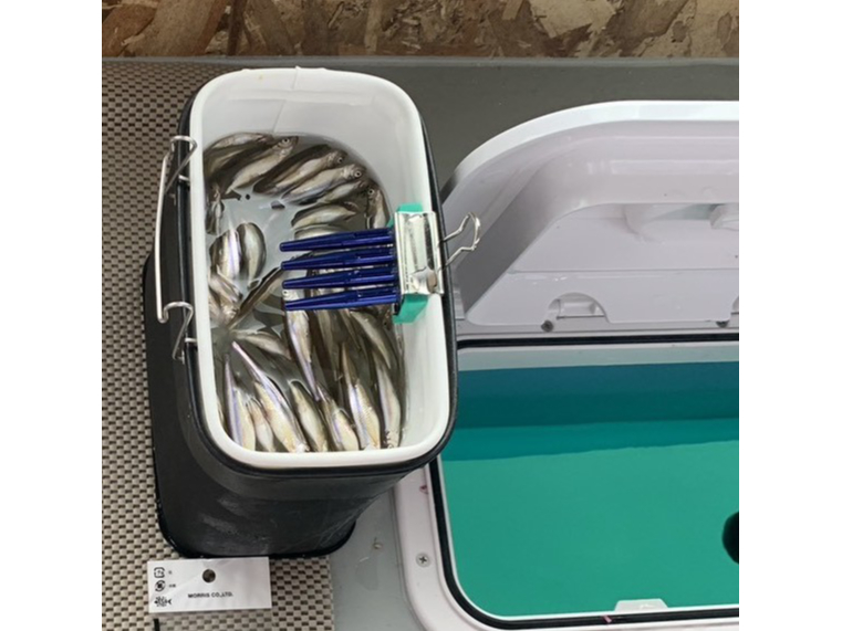 uh[DŁAȂɒނ܂I O͐łAłʂʂ務B v