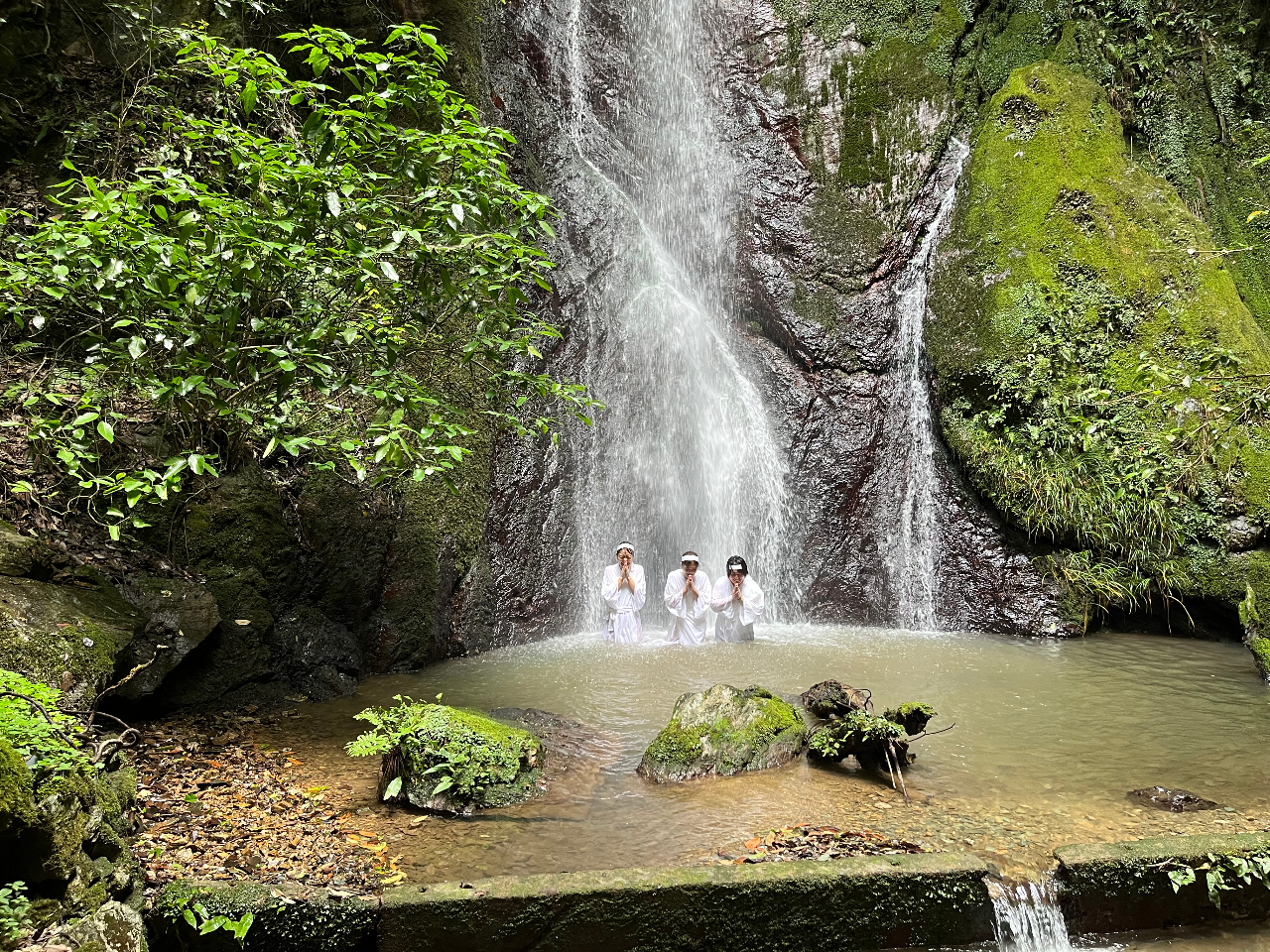 KłFĂAɓB{ŉ𕥂Aׂ̗No鏬ȑŐg𐴂߂܂B