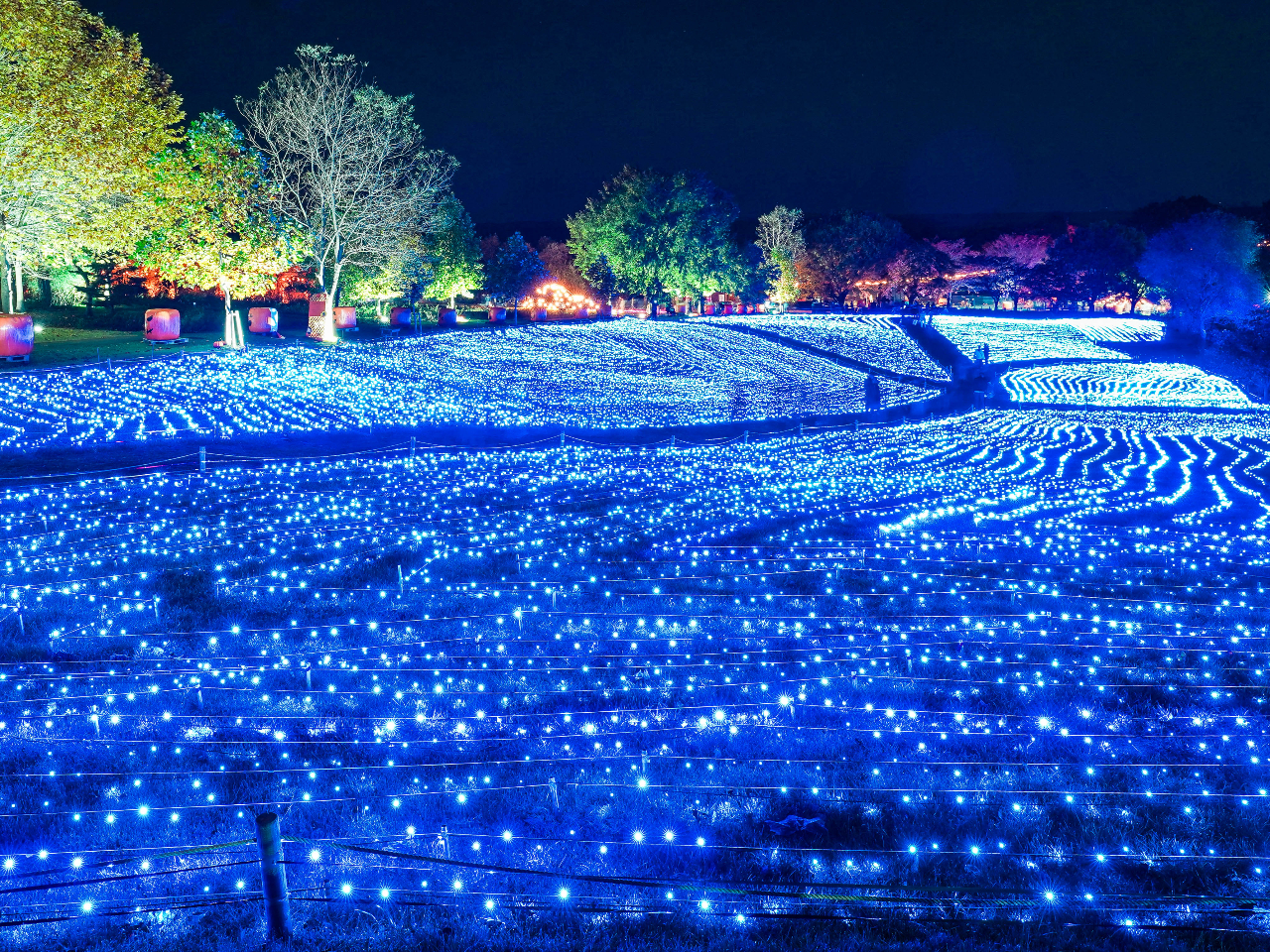 �y�₭�炢�K�[�f���z���k�ő勉�K�́I���Ԍ���̌��z�I�ȃ��C�g�A�b�v