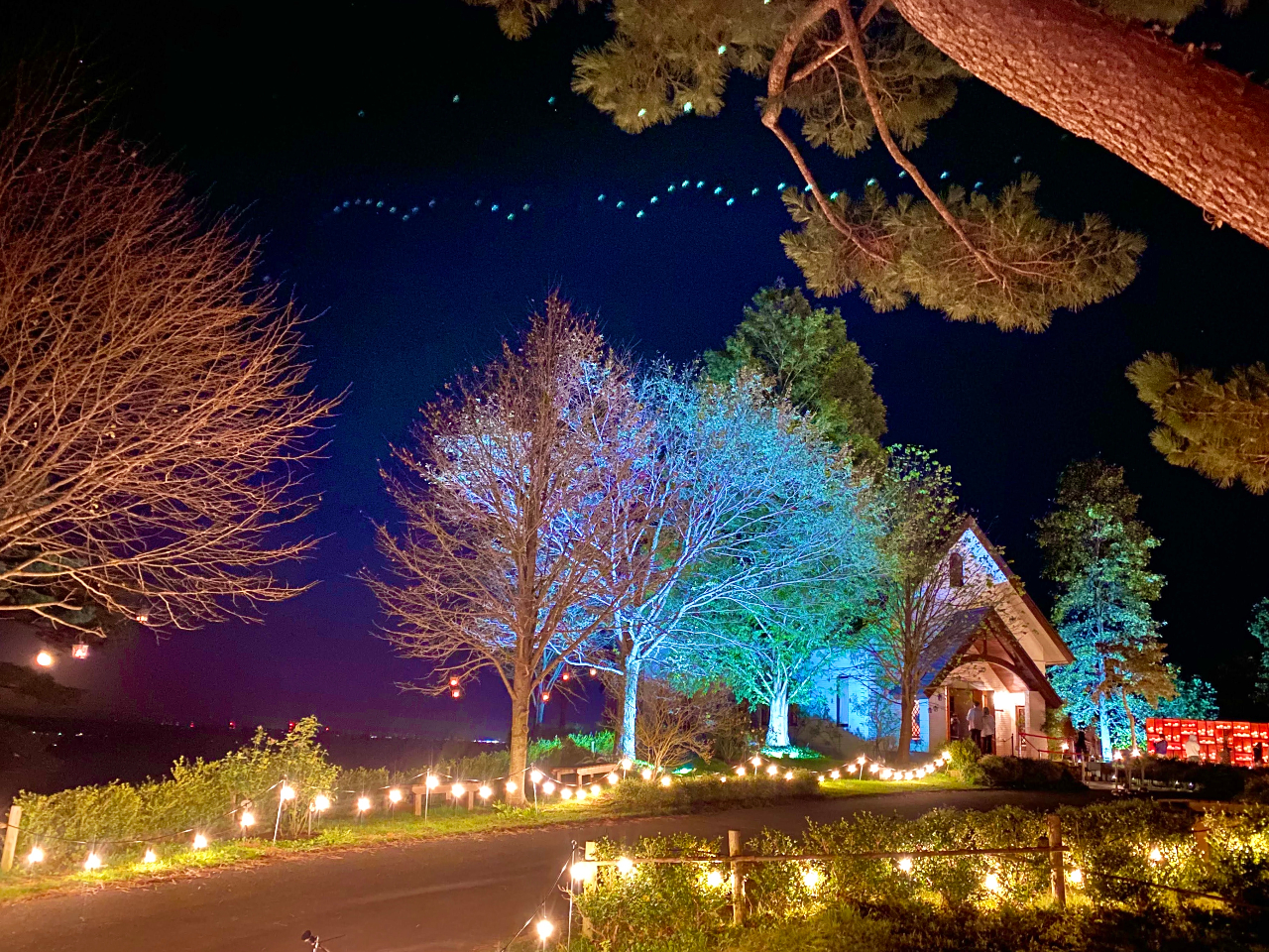 �����̃`���y�����Y��ȃ��C�g�A�b�v���{����A�܂�ŕʐ��E�ɖ������񂾂悤�Ȋ��o�ɁI