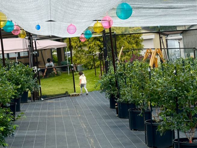 �����q�u���[�x���[�������߂̎ʐ^1