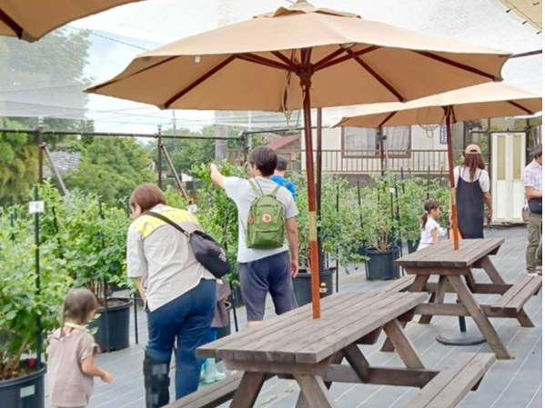 �����q�u���[�x���[�������߂̎ʐ^2