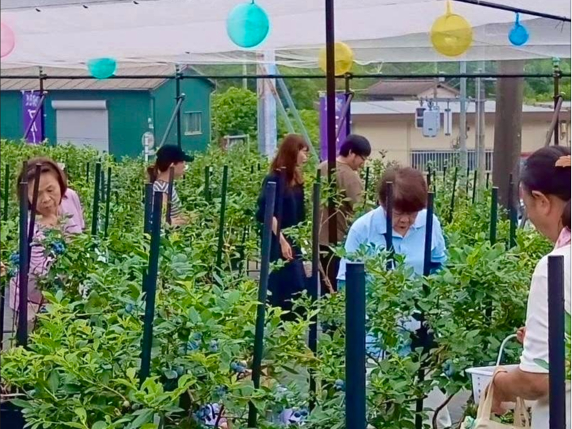 �����q�u���[�x���[�������߂̎ʐ^3