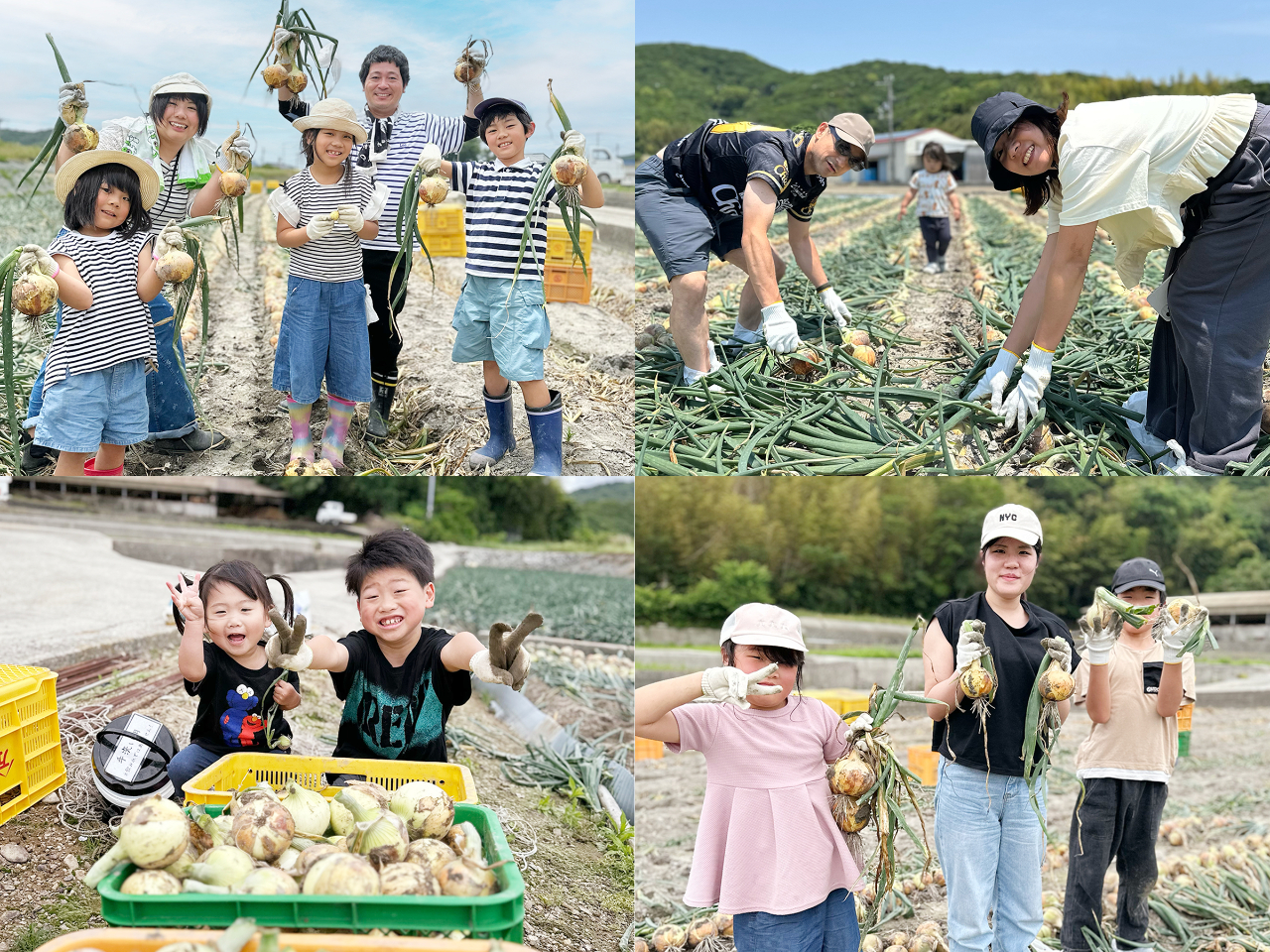 C_̎ň͑̂qlɂQĂ܂I