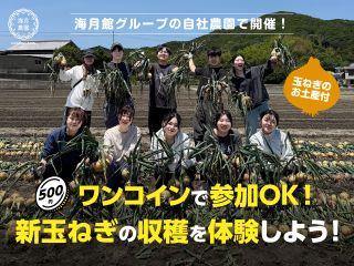 南あわじ市の「海月農園」で新玉ねぎの収穫体験!採れたて新玉ねぎを使った試食有!