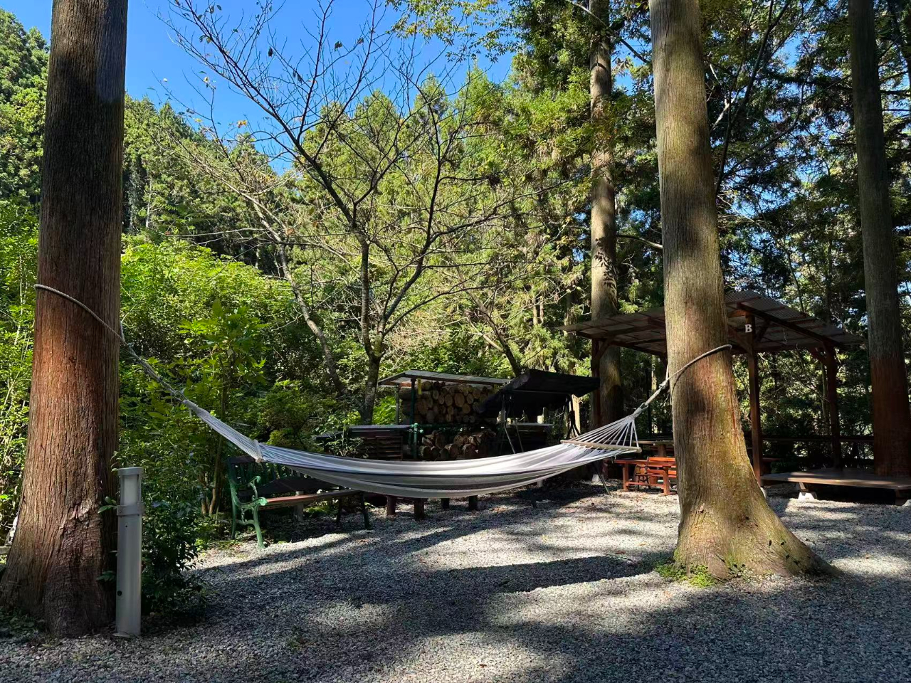 �n�����b�N�ł������^�C�����c