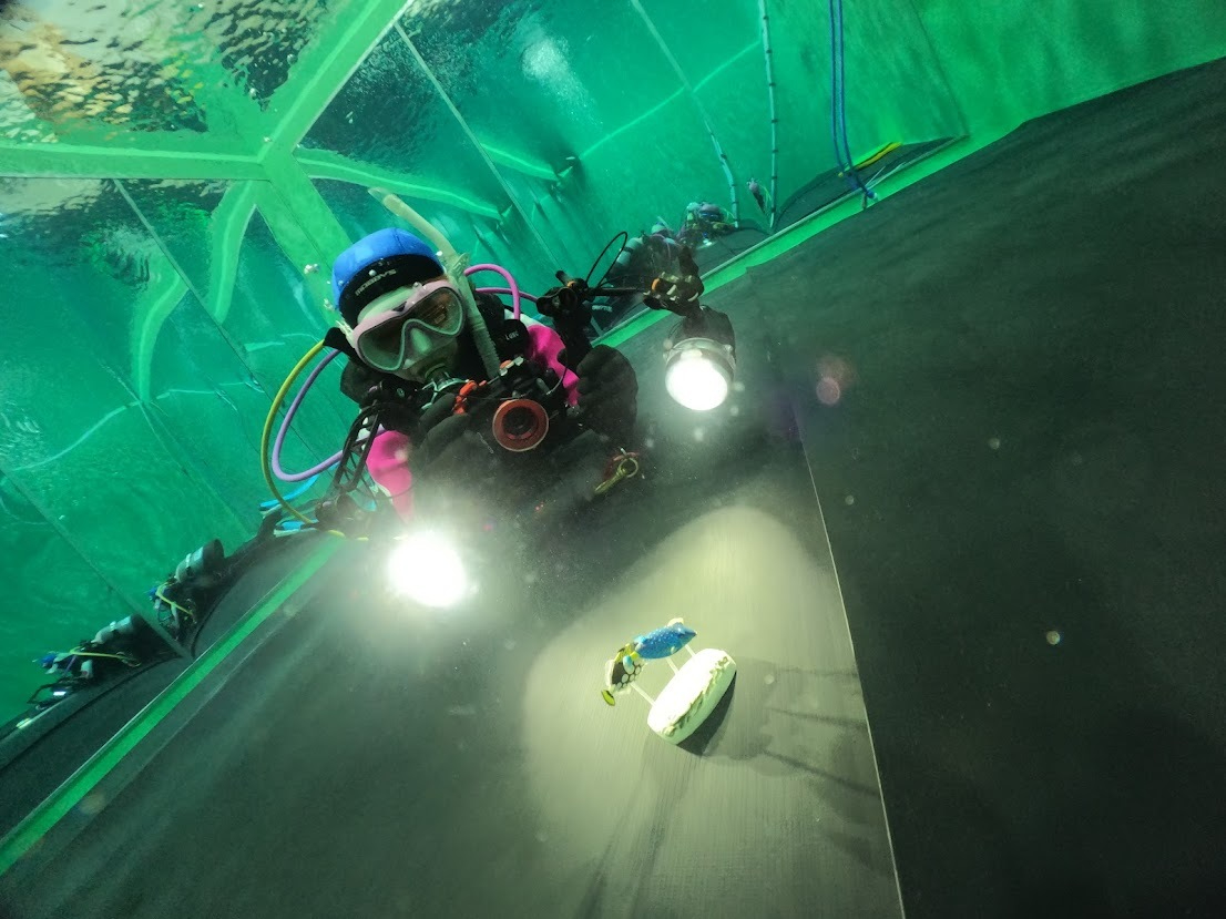 【千葉/白井市/貸切ダイビングプログラム】水中写真のコツ教えます!TGシリーズユ...