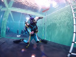 水中でフィンキックの練習もできます