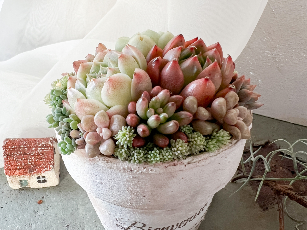 @AAiS҂܌j@ʂȐFgݍ킹AS҂łfGȍidオ܂B