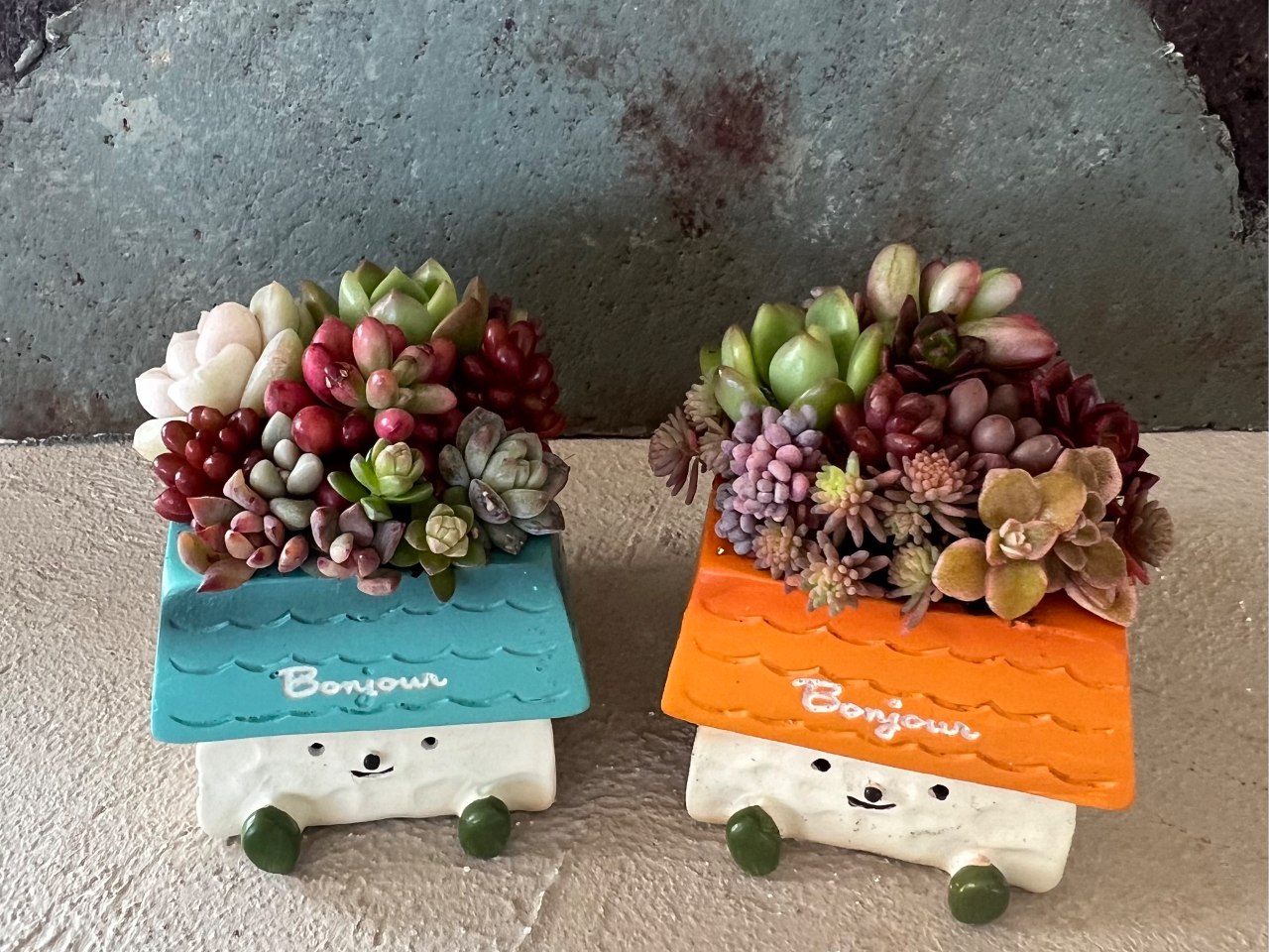 wȉ@یҗlƂꏏɂ肢܂