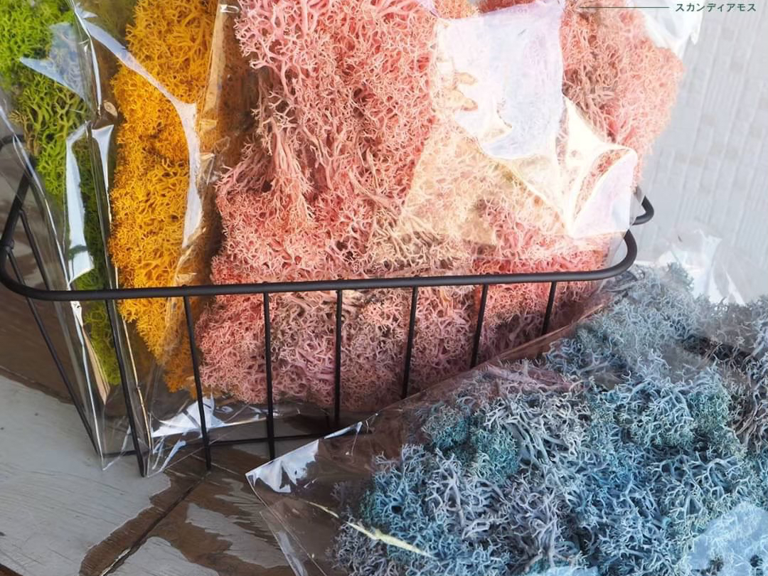 FƂǂ̃XJfBAXBRɑgݍ킹Ċy߂܂