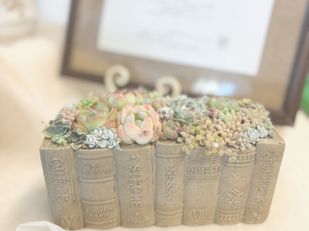 �{�̔w�\���������ǂ���book���ɁA�����A���𒚔J�Ɋ񂹂���i�B �Â��Ȏ��Ԃ��C���e���A�Ƃ��Ċy���߂܂��B 