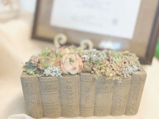 本の背表紙をかたどったbook鉢に、多肉植物を丁寧に寄せた作品。 静かな時間をインテリアとして楽しめます。
