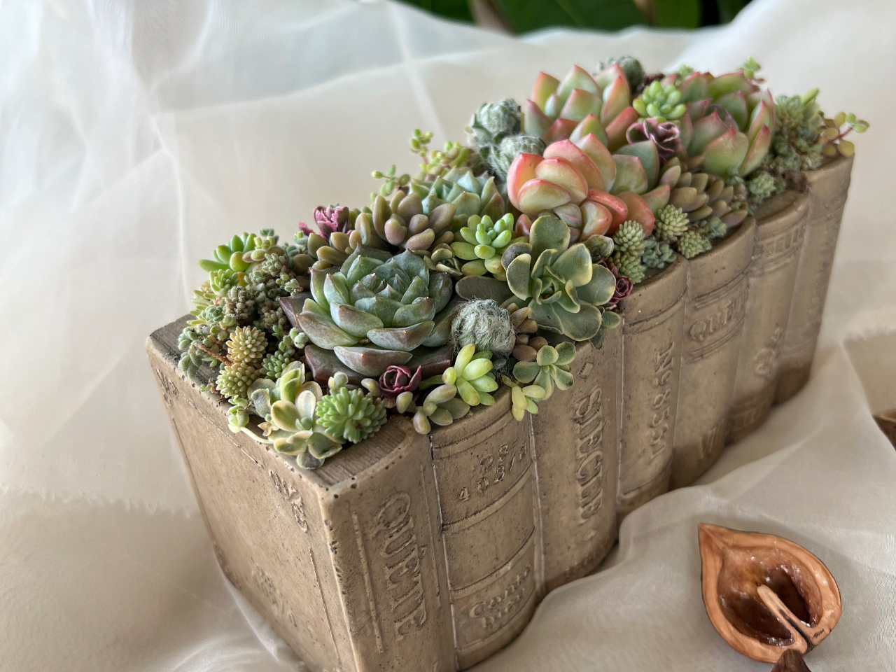 �����猩���u�b�N�^�񂹐A���B ���s���Ɨ��̊�������A�u���ꏊ�ŕ\��ς��܂��B 