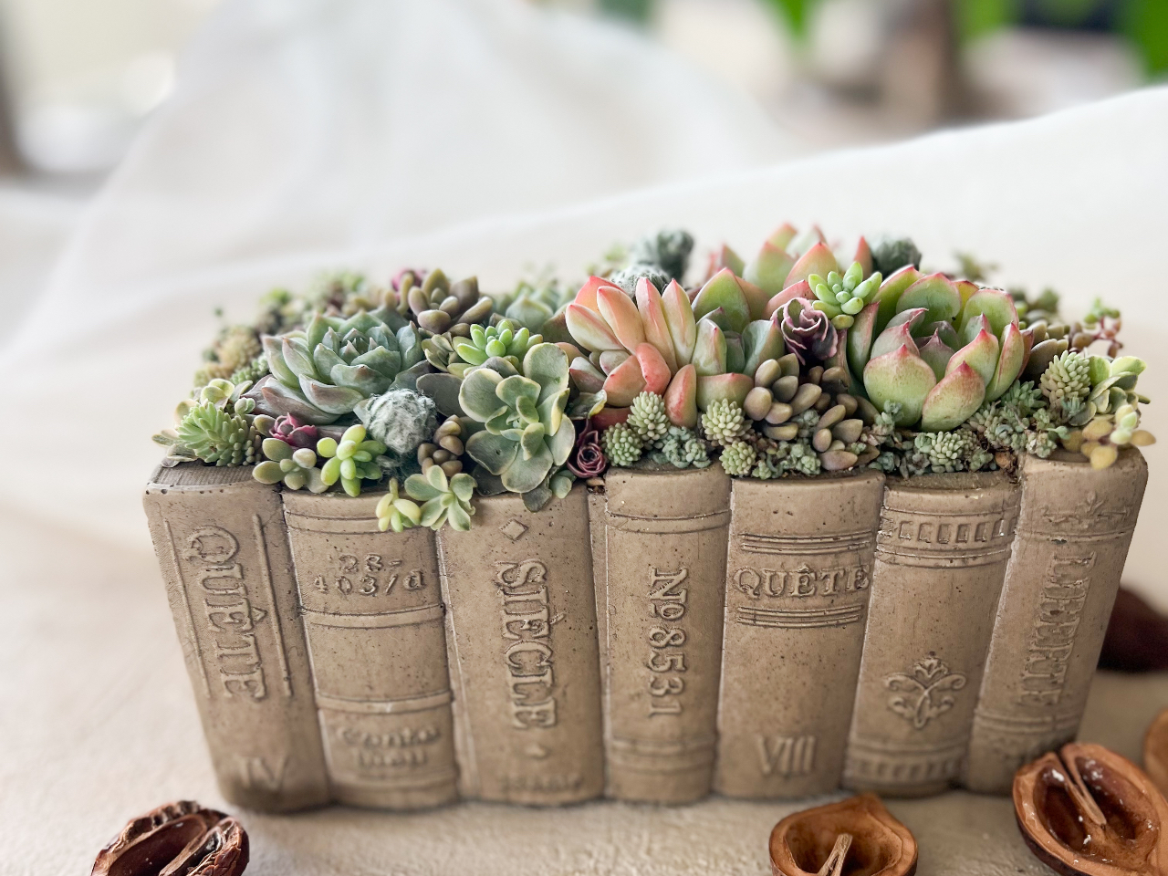 �{�̑������v�킹��f�U�C���B �A���Ɗ킪���a�����A����̂���񂹐A���ł��B