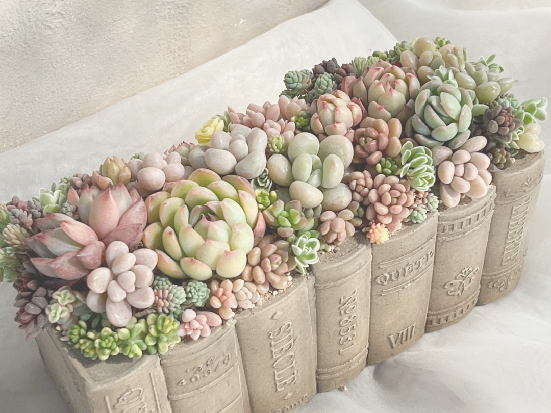 �F��`�̈قȂ鑽���A�����o�����X�悭�z�u�B �z�u�̍l���������b�X���Œ��J�ɂ��`�����܂��B