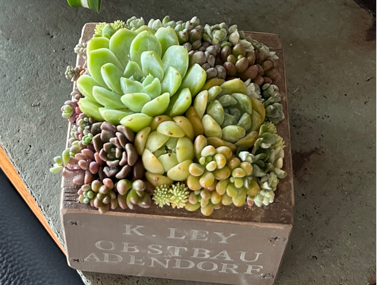 �A���ƌ��������A�Â��Ɏ�𓮂������ԁB �����A���̔������������o���A�\���V�G�[���Ȃ�ł͂̊񂹐A���̌��ł��B