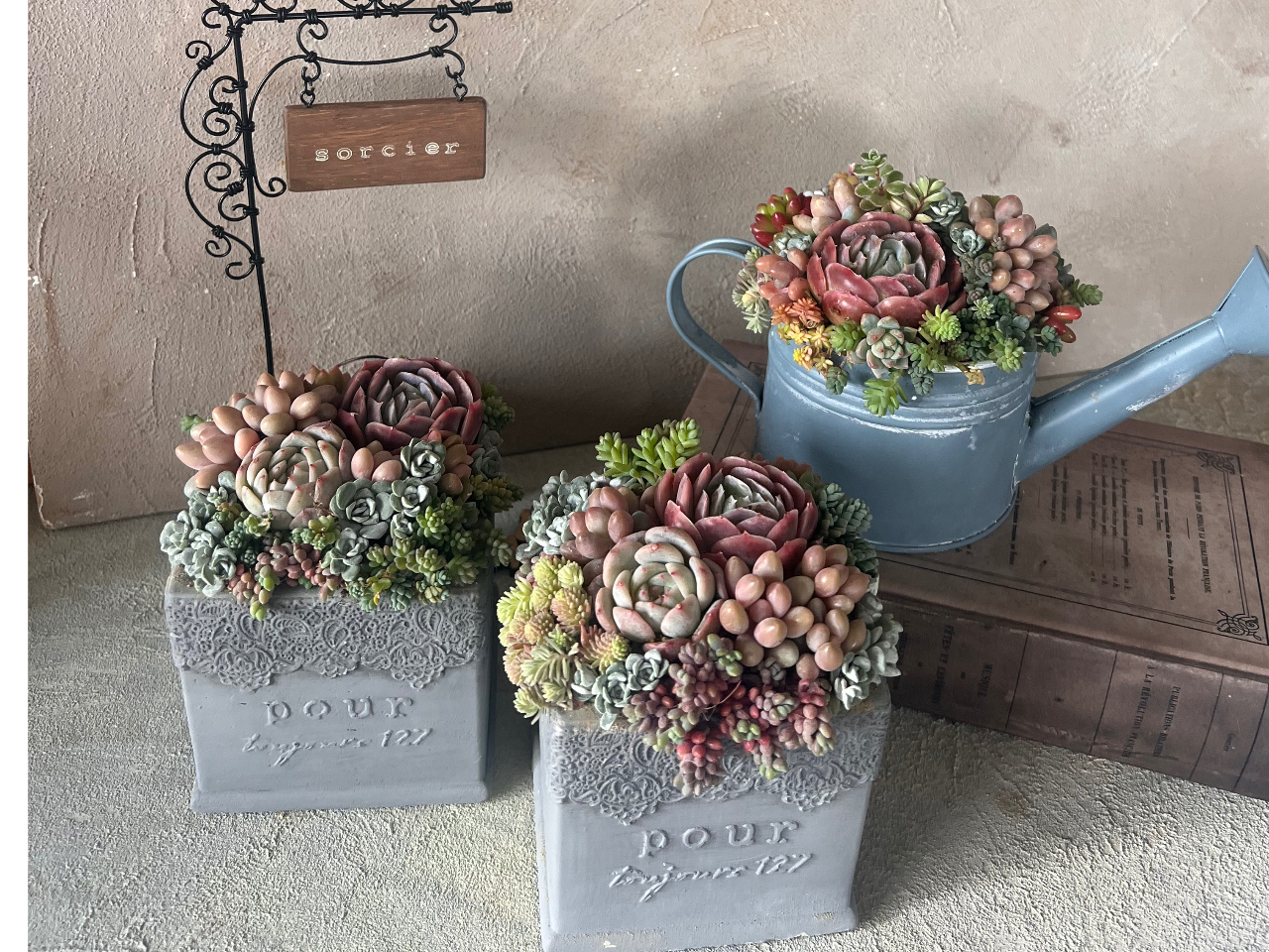 �X�N�G�A���₶�傤��^�ȂǁA��̈Ⴂ�ŕ\������܂��܁B ���E�ɂЂƂ̊񂹐A��������肢�������܂��B 