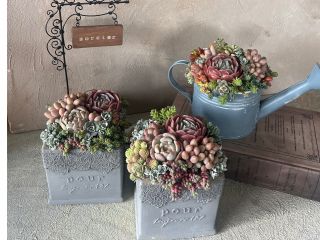 スクエア鉢やじょうろ型など、器の違いで表情もさまざま。 世界にひとつの寄せ植えをお作りいただけます。