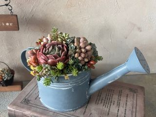 ジョーロ型の器で作る、多肉寄せ植えの完成イメージです。