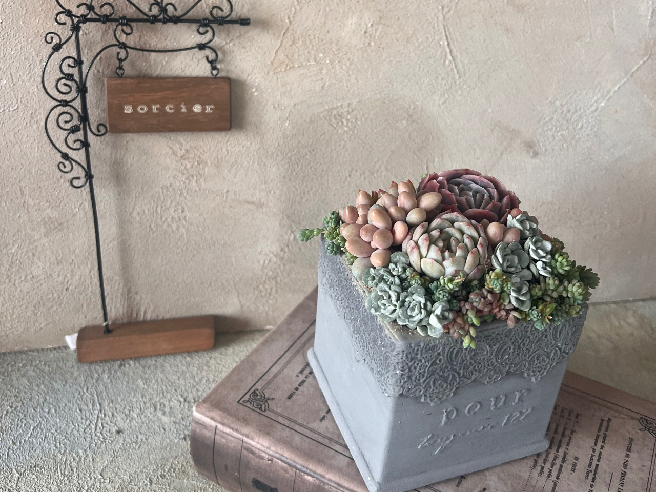 �Â����ɕ�܂ꂽ�A�g���G�ŁA�A���ƑΘb����ЂƂƂ��B ���߂Ă̕��ł����S���Ă��Q�����������܂��B