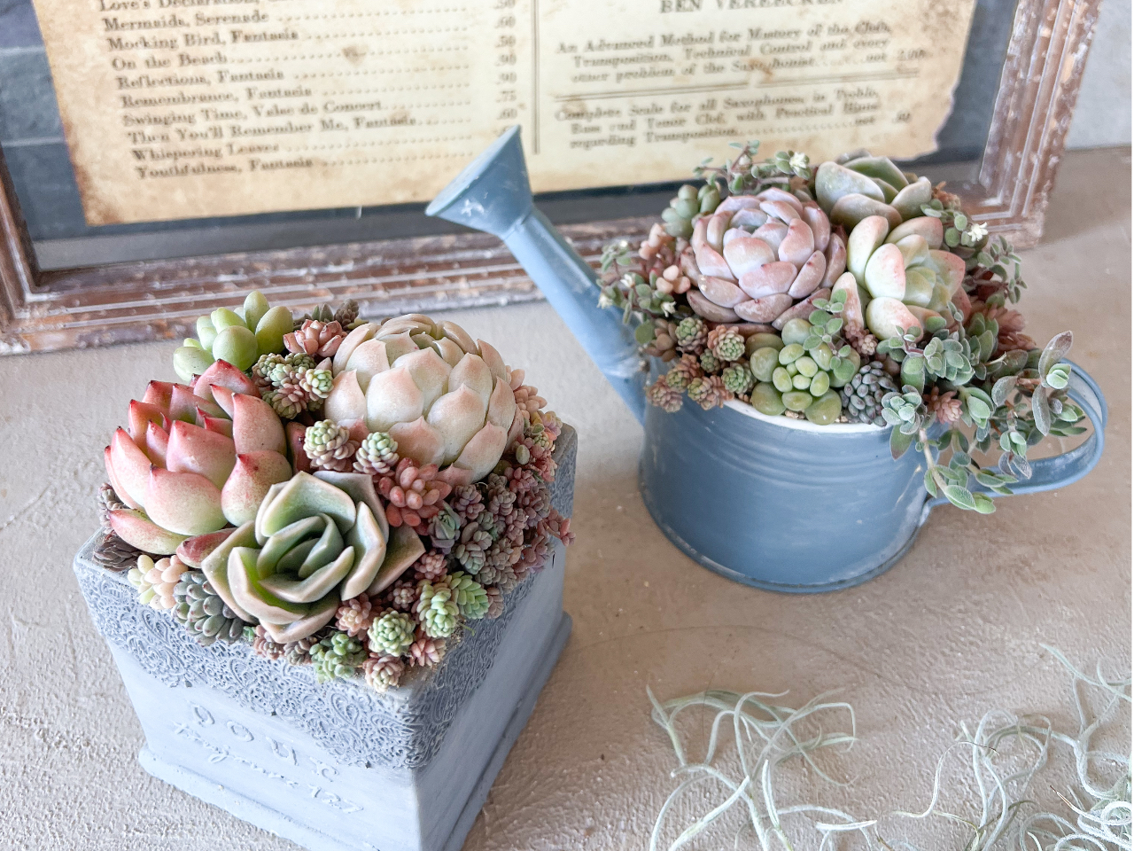 �X�N�G�A����W���[�����ȂǁA��̈Ⴂ�ŕ\������܂��܁B ���E�ɂЂƂ̊񂹐A��������肢�������܂��B 