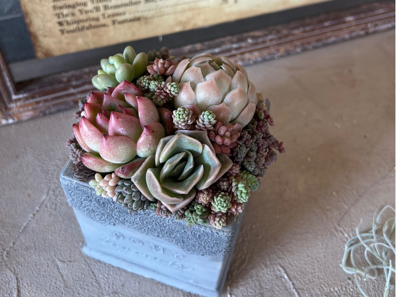 �X�N�G�A���ō��A�����񂹐A���̊����C���[�W�ł��B 