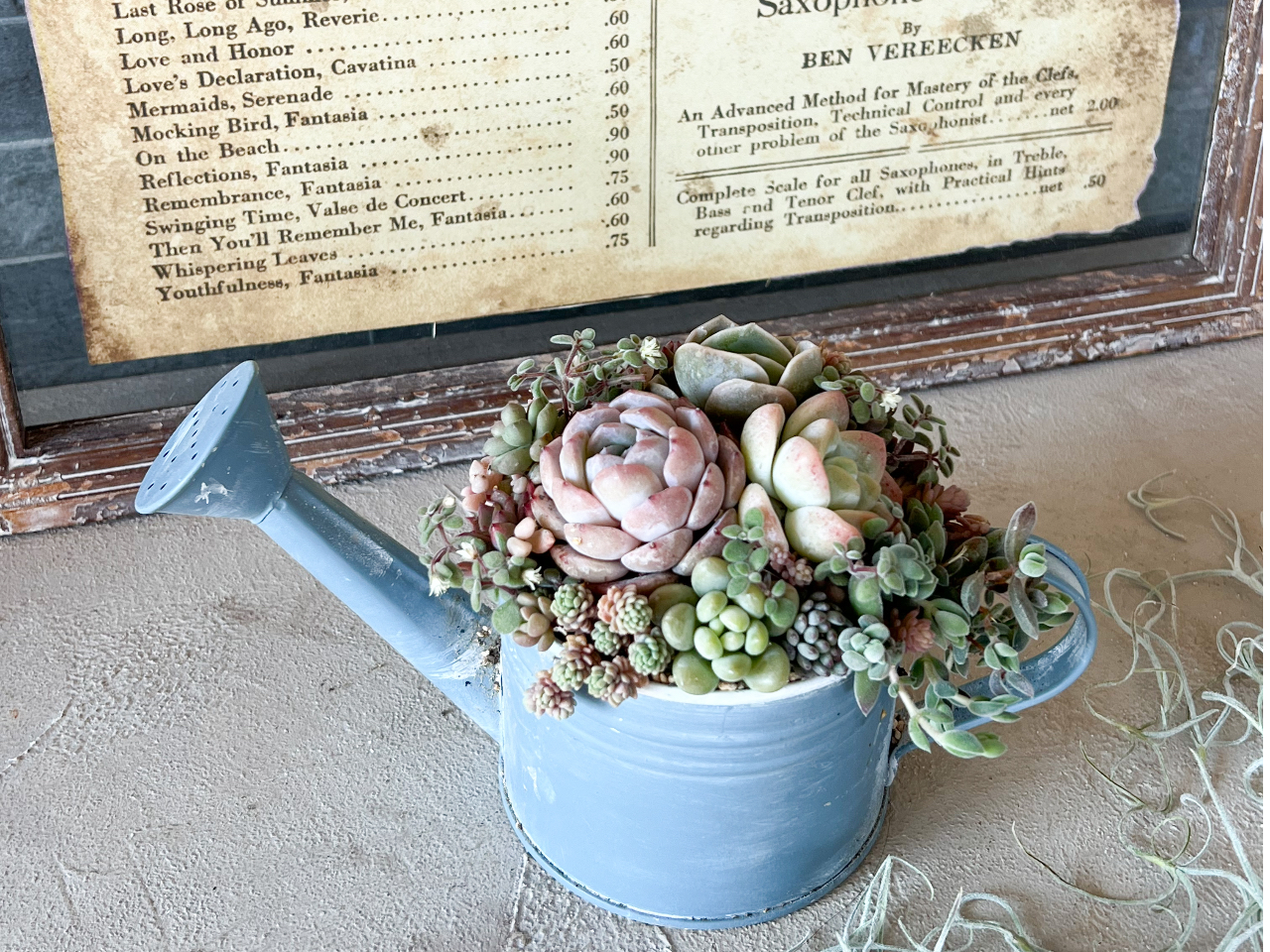 �W���[���^�̊���g�����A�����񂹐A����i��ł��B