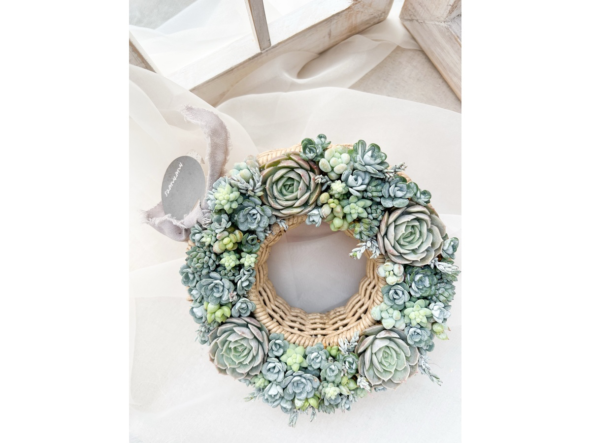 �����A���������Ղ�g�����A���݊��̂��郊�[�X�B �T�C�Y�╵�͋C�͐����̂ЂƂł��B