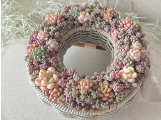 粒のような多肉を静かに重ねたリース型寄せ植え。 講師が丁寧に寄り添い、初めての方も心落ち着く時間を楽しめます。