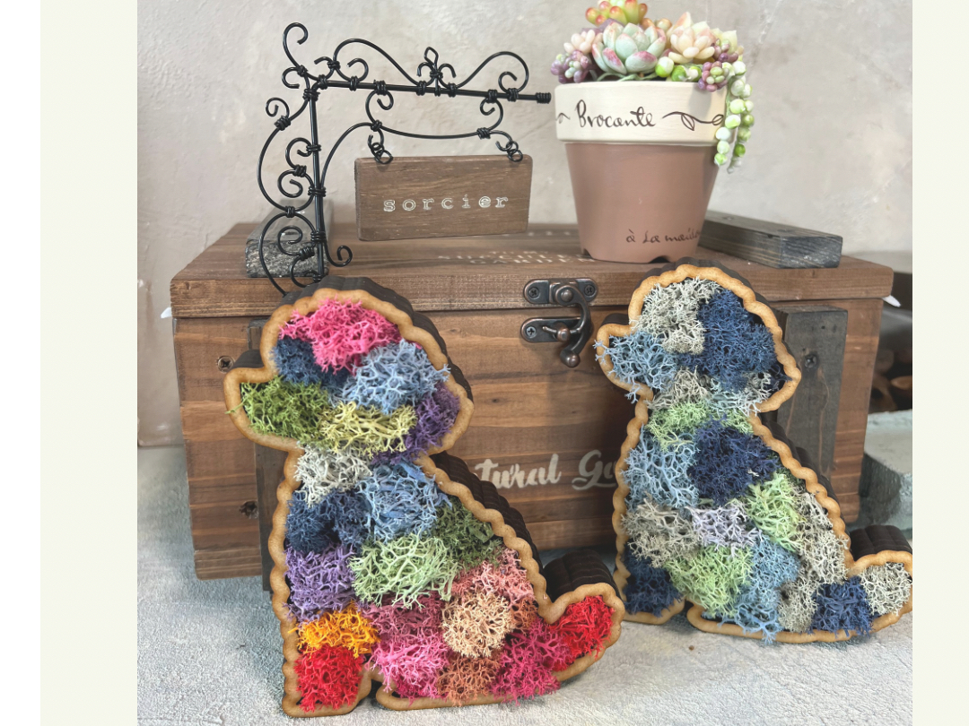 ���X�̐F����z�u�ɂ���āA �d�オ��͈�_���قȂ�܂��B ���������߂����Ȃ����炱���A ���̐l�炵���������ɁB